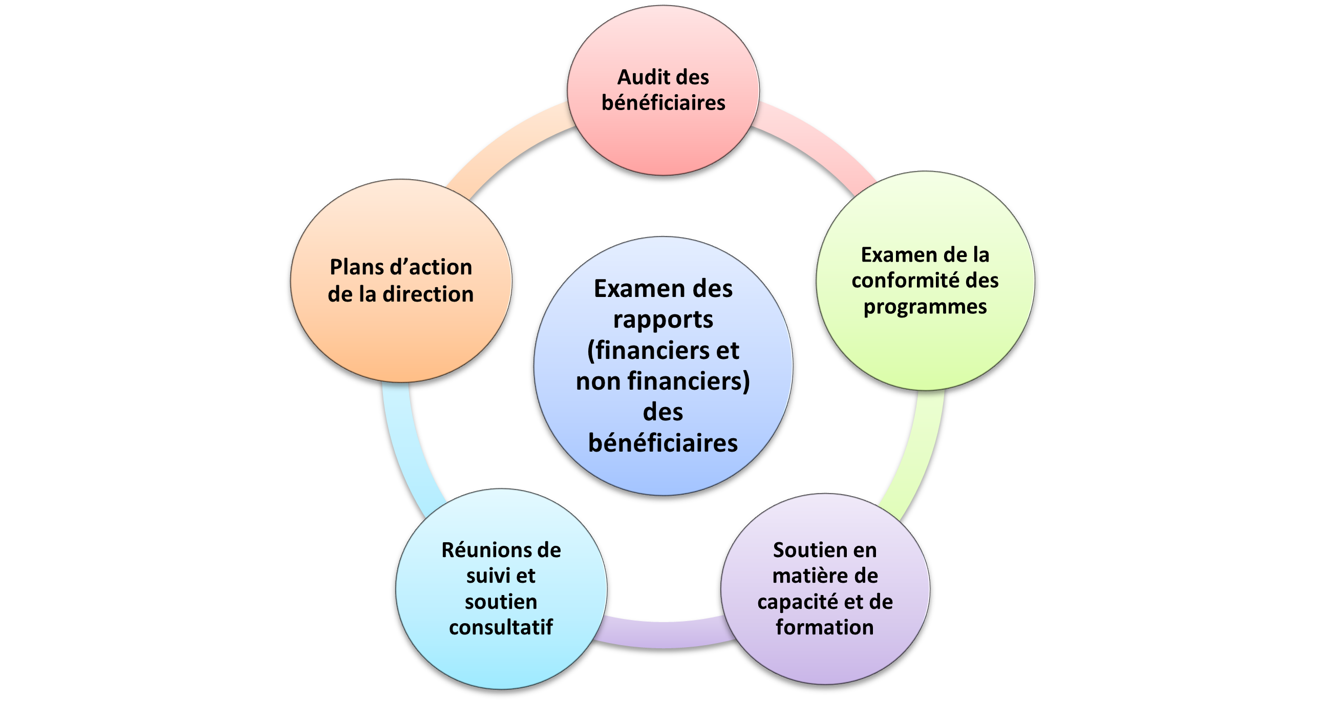 Figure 1 : Activités de surveillance