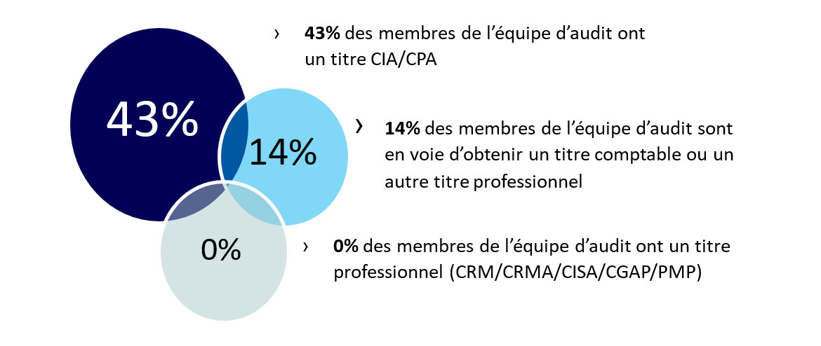 Graphique à bulles démontrer la composition du personnel de l'équipe d'audit interne selon leurs qualifications professionnelles en date du 30 Juin 2024