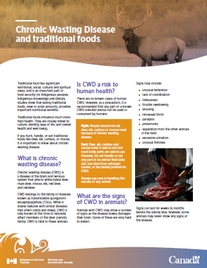 Chronic Wasting Disease and traditional foods